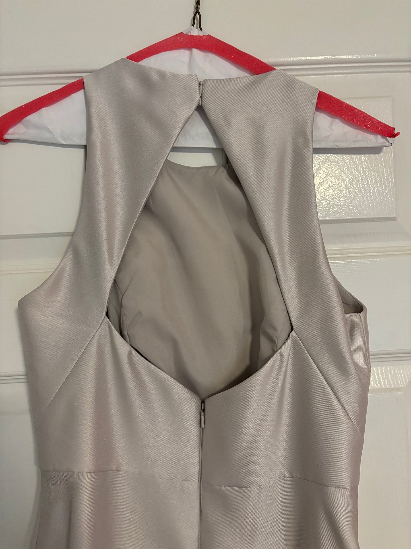 Alfred Sung Champagne Dress