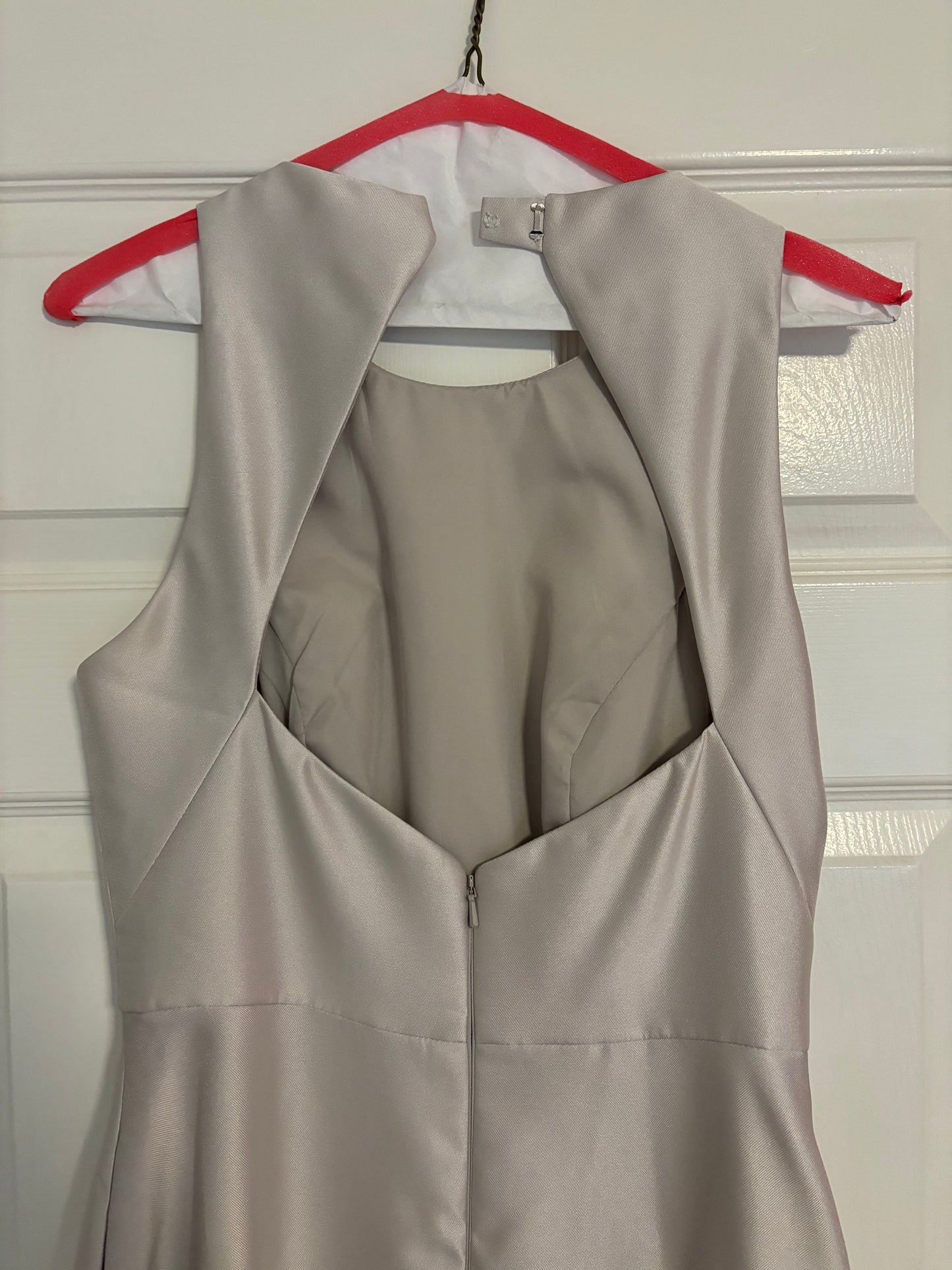 Alfred Sung Champagne Dress